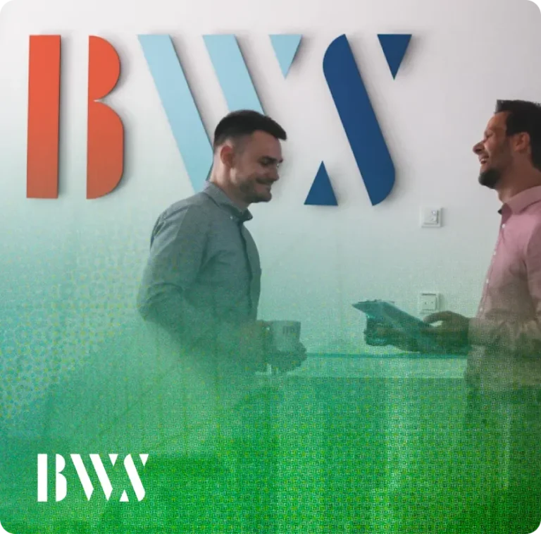 BWS 咨询集团：在欧洲招聘开发人员