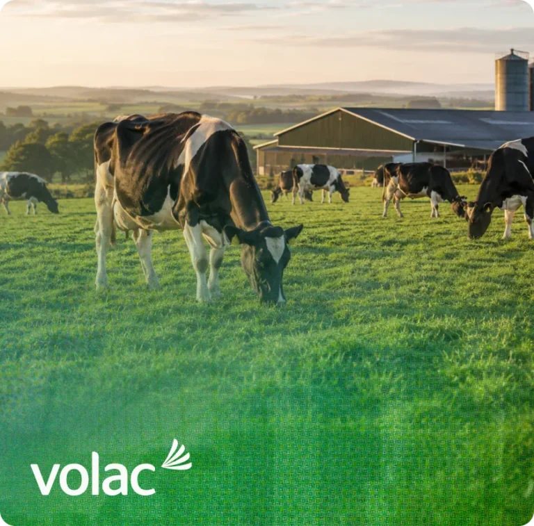 Volac：在欧洲新聘三位关键客户经理（KAM）——此前停滞的德国职位现已重启